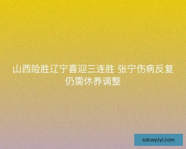 山西险胜辽宁喜迎三连胜 张宁伤病反复仍需休养调整