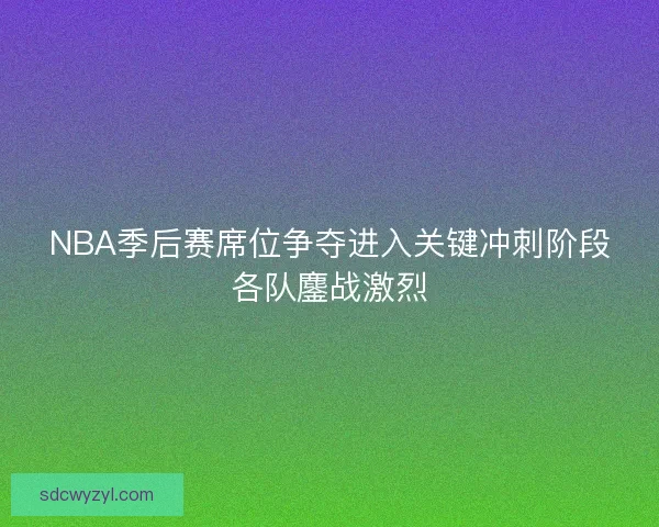 NBA季后赛席位争夺进入关键冲刺阶段各队鏖战激烈